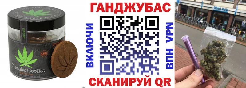 Купить закладки  Партизанск  Canna-Cookies конопля 
