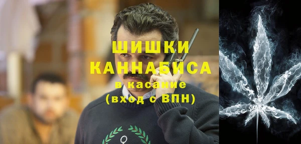 молекула духа Надым