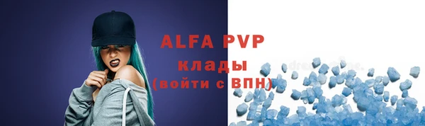 молекула духа Надым