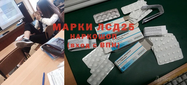 молекула духа Надым