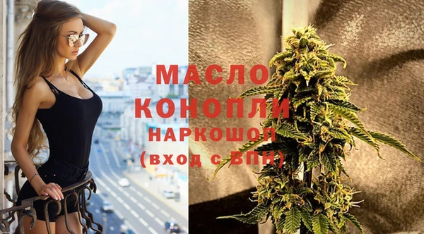 молекула духа Надым