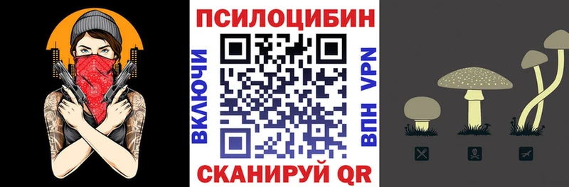 Псилоцибиновые грибы GOLDEN TEACHER  Купить где  Партизанск 
